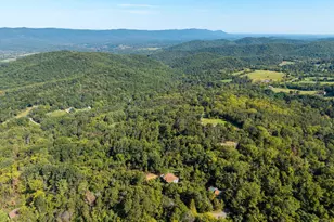 665 Overlook Dr, Rileyville, VA 22650 - Photo 69
