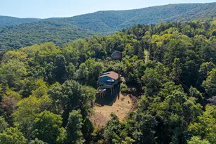 665 Overlook Dr, Rileyville, VA 22650 - Photo 63