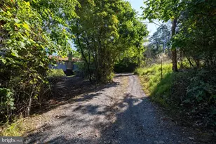 665 Overlook Dr, Rileyville, VA 22650 - Photo 59