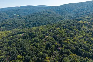 665 Overlook Dr, Rileyville, VA 22650 - Photo 71