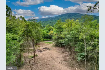97 Gracie Lane, Luray, VA 22835 - Photo 13