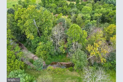 97 Gracie Lane, Luray, VA 22835 - Photo 31