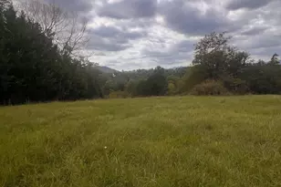 W Main St, Stanley, VA 22851 - Photo 1