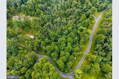 Park Line Road, Stanley, VA 22851 - Photo 3