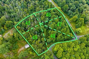 Park Line Rd, Stanley, VA 22851 - Photo 1
