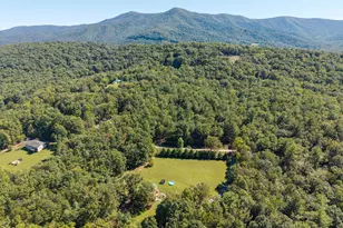 138 Willow Rd, Luray, VA 22835 - Photo 61
