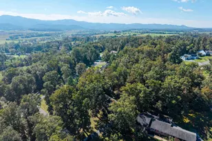 213 Forest Hills Dr, Luray, VA 22835 - Photo 79