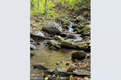 2250 Jewell Hollow Road, Luray, VA 22835 - Photo 63
