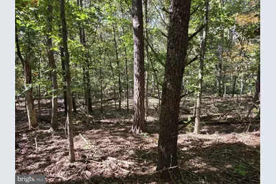 0 N Egypt Bend Road, Luray, VA 22835 - Photo 13