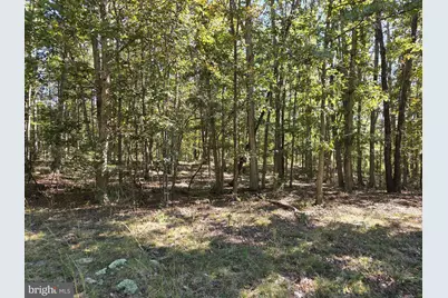 0 N Egypt Bend Road, Luray, VA 22835 - Photo 9
