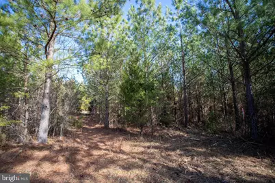 Tbd W Gretna, Sandy Level, VA 24161 - Photo 21