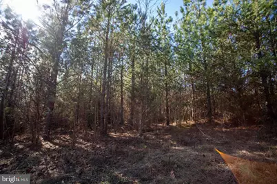 Tbd W Gretna, Sandy Level, VA 24161 - Photo 11