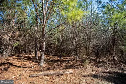 Tbd W Gretna, Sandy Level, VA 24161 - Photo 9