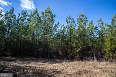 Tbd W Gretna, Sandy Level, VA 24161 - Photo 15