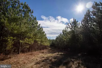 Tbd W Gretna, Sandy Level, VA 24161 - Photo 13