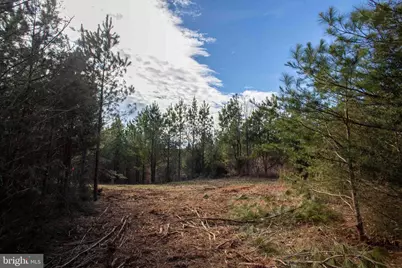 Tbd W Gretna, Sandy Level, VA 24161 - Photo 25