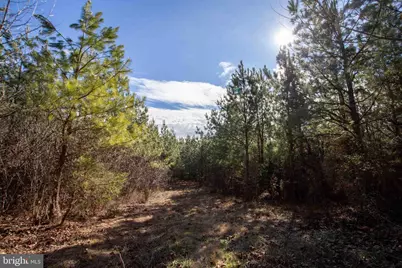 Tbd W Gretna, Sandy Level, VA 24161 - Photo 7