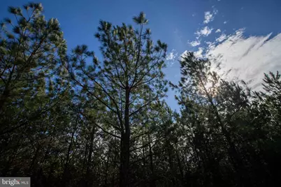 Tbd W Gretna, Sandy Level, VA 24161 - Photo 19