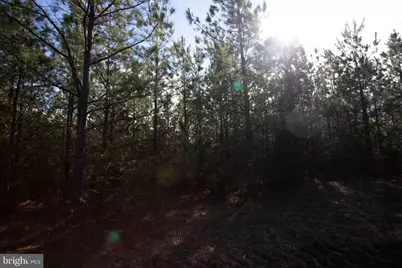 Tbd W Gretna, Sandy Level, VA 24161 - Photo 17