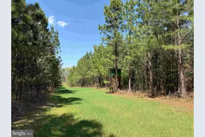 Dabney House Rd. - (Tract: Pittsylvaniacompton-1), Java, VA 24565 - Photo 7