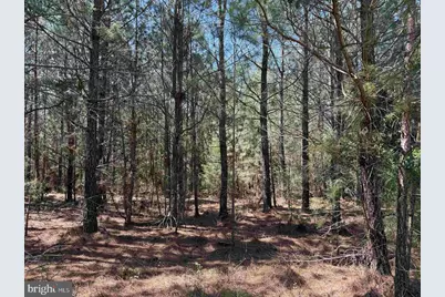 Dabney House Rd. - (Tract: Pittsylvaniacompton-1), Java, VA 24565 - Photo 9