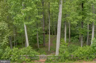 2948 New Hope Rd, Powhatan, VA 23139 - Photo 41