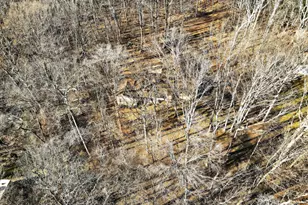 6226 Gwendolyn Dr, Manassas, VA 20112 - Photo 11