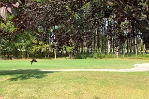 13487 Victory Gallop Way, Gainesville, VA 20155 - Photo 51