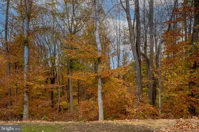 17814 White Campion Way, Dumfries, VA 22026 - Photo 27