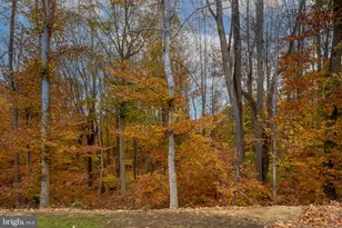 17814 White Campion Wy, Dumfries, VA 22026 - Photo 27