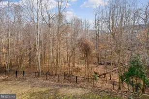 16449 Plumage Eagle St, Woodbridge, VA 22191 - Photo 67