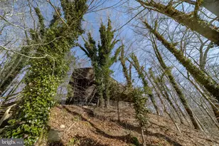 10754 Lake Forest Dr, Manassas, VA 20112 - Photo 11