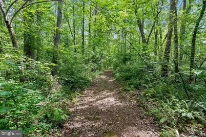 9671 Marlette Drive, Nokesville, VA 20181 - Photo 3