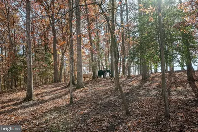 14660 Fitzwater Drive, Nokesville, VA 20181 - Photo 25
