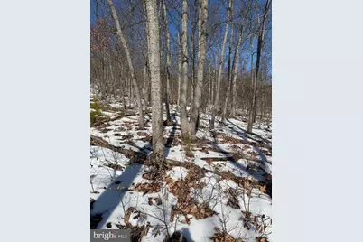 1706 Mercer Road, Haymarket, VA 20169 - Photo 1