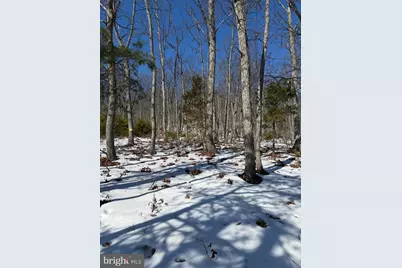 1706 Mercer Road, Haymarket, VA 20169 - Photo 5