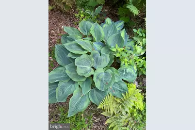 12495 Manchester Way, Woodbridge, VA 22192 - Photo 43