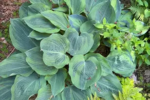 12495 Manchester Way, Woodbridge, VA 22192 - Photo 43