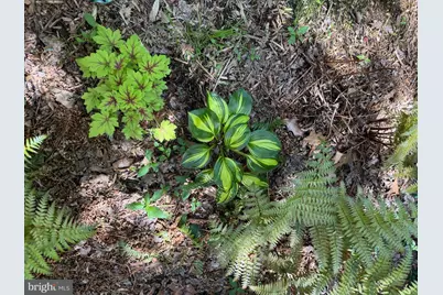 12495 Manchester Way, Woodbridge, VA 22192 - Photo 45