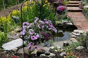 10036 Lake Occoquan Dr, Manassas, VA 20111 - Photo 67