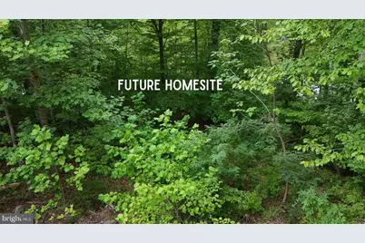 6170 Turkey Run Court, Manassas, VA 20112 - Photo 3