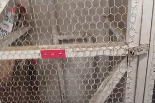 11055 Camfield Ct, Manassas, VA 20109 - Photo 43