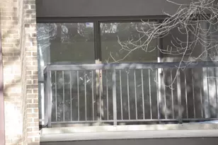 11055 Camfield Ct, Manassas, VA 20109 - Photo 5