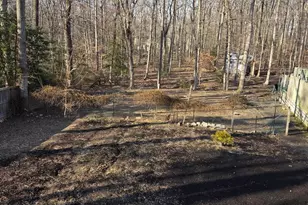 8004 Gracie Dr, Manassas, VA 20112 - Photo 17