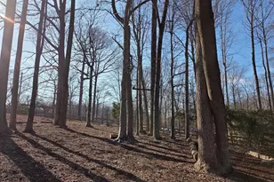 8004 Gracie Dr, Manassas, VA 20112 - Photo 5