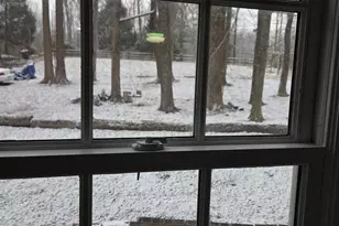 8004 Gracie Dr, Manassas, VA 20112 - Photo 49