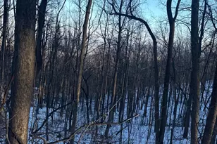 1611 Summit Dr, Haymarket, VA 20169 - Photo 1