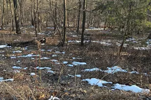 16253 Sumney Dr, Haymarket, VA 20169 - Photo 1