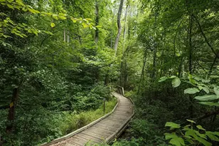 2058 Alder Ln, Dumfries, VA 22026 - Photo 45