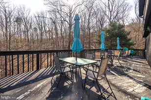 1616 Mountain Rd, Haymarket, VA 20169 - Photo 33